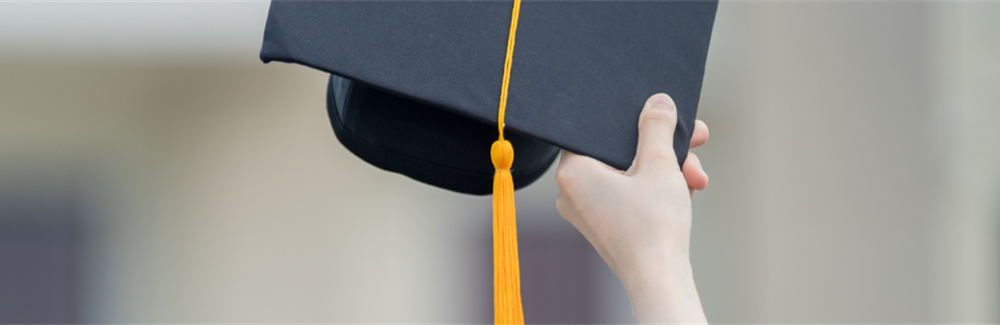 Bridging Competency Gaps for Newly Graduated Nurses Through Micro-Credentials: An Interpretative Descriptive Qualitative Study