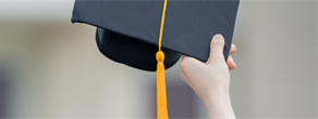 Bridging Competency Gaps for Newly Graduated Nurses Through Micro-Credentials: An Interpretative Descriptive Qualitative Study