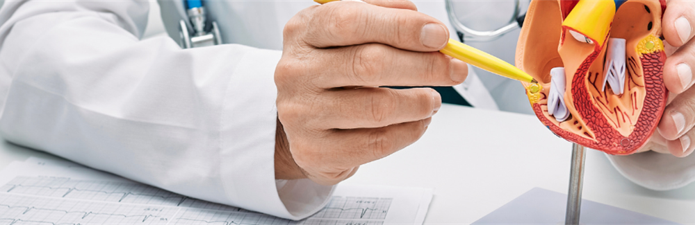 Education of Healthcare Professionals to Improve Guideline Adherence in Atrial Fibrillation: The STEEER-AF Cluster-Randomized Clinical Trial