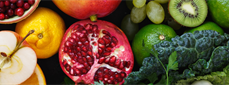 New MAHA Laws Require Nutrition CME for Doctors