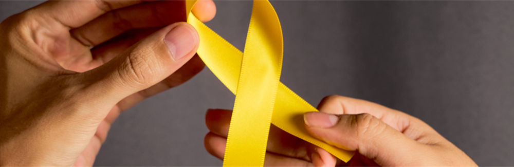 Suicide Prevention ECHO: Evaluating a Tele-Education Program to Increase Suicide Prevention Knowledge and Skills in Adolescent and Adult Providers