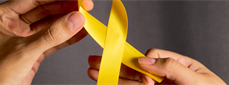 Suicide Prevention ECHO: Evaluating a Tele-Education Program to Increase Suicide Prevention Knowledge and Skills in Adolescent and Adult Providers