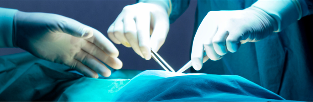 Mind Over Scalpel: Effectiveness of Preoperative Surgical Education