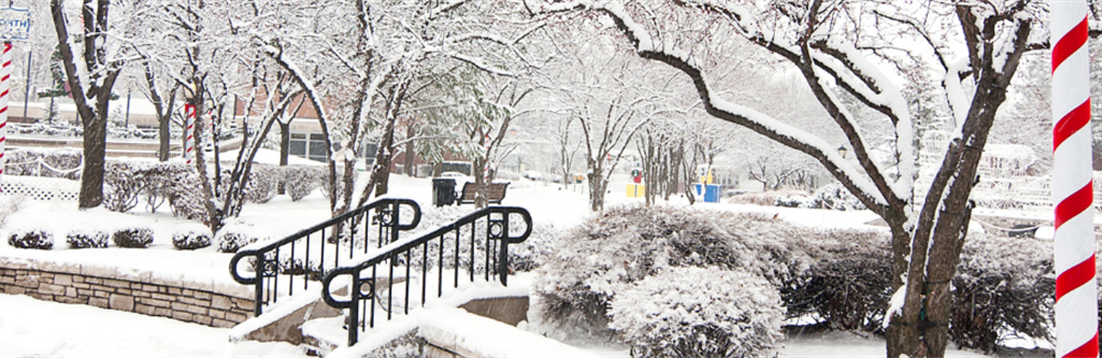 President's Message - December 2025