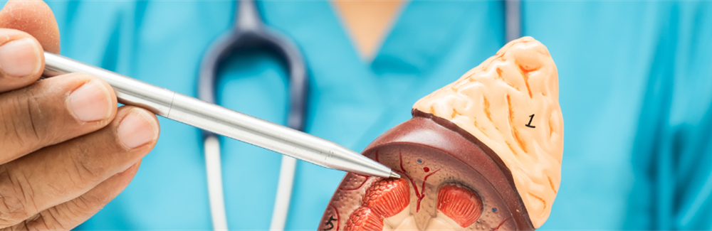 Continuing Medical Education in Renal Pathology: Current Practices and Needs Among Nephrologists