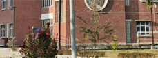 Real Outcomes: Stony Brook University Renaissance School of Medicine