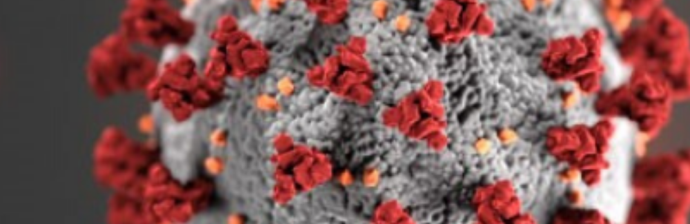 Canceled by COVID-19: Information for CPD Professionals