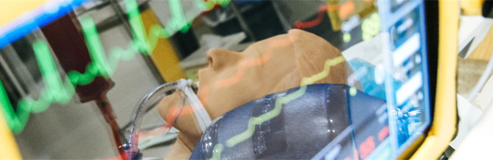 Co-constructive Patient Simulation as an Experiential Tool for Continuing Professional Development in Healthcare